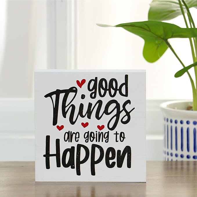 Double-Sided Wooden Box Sign, But Did You Document It Office Decor 2-in-1 Sayings Wood Block Signs, 5x5 Inches Reversible Table Centerpiece Decorations for Desk
