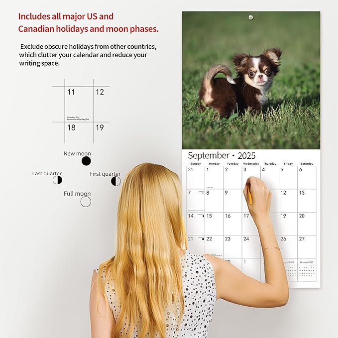 windrio 2026 Wall Calendar, Calendar 2026, July 2025 - December 2026, Wall Calendar Chihuahua Puppies, 12" x 24" Opened,Full Page Months Thick & Sturdy Paper for Calendar Organizing & Planning