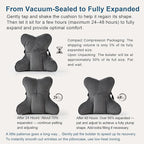 Ailuteie Lumbar Support Pillow(Pat. Pend) – Ergonomic Multi-Zone Back Cushion for Lower Back Pain Relief, Ideal for Office Chair, Car Seat & Home Reading,Steel Gray