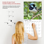 2026 Wall Calendar,Calendar 2026, November 2025 - December 2026, Wall Calendar Song Birds, 12" x 24" Opened,Full Page Months Thick & Sturdy Paper for Calendar Organizing & Planning