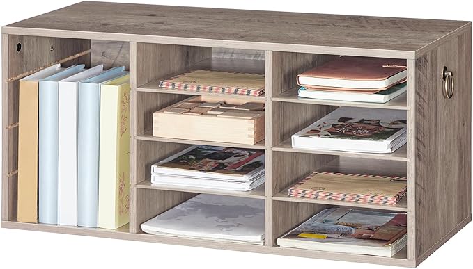 HOOBRO Countertop Mail Sorter Organizer, Wooden Literature Organizer, Student Mailbox for Classroom, Desktop Bill Organizer for Office Home School, 12 Compartments, Greige BG43WF01