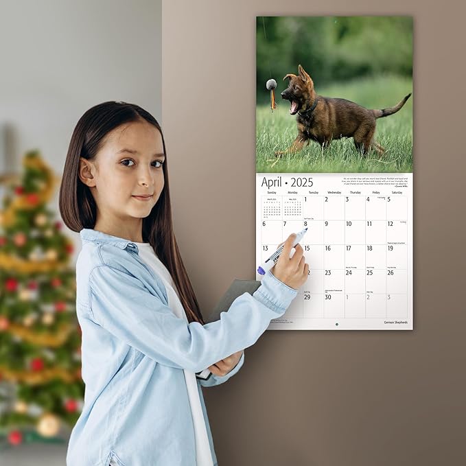 MICASA PRESS - German Shepherds 2025 Wall Calendar 12 Month | 12" x 24" Open | Thick & Sturdy Paper | Giftable | Dog Calendar 2025