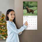 MICASA PRESS - German Shepherds 2025 Wall Calendar 12 Month | 12" x 24" Open | Thick & Sturdy Paper | Giftable | Dog Calendar 2025