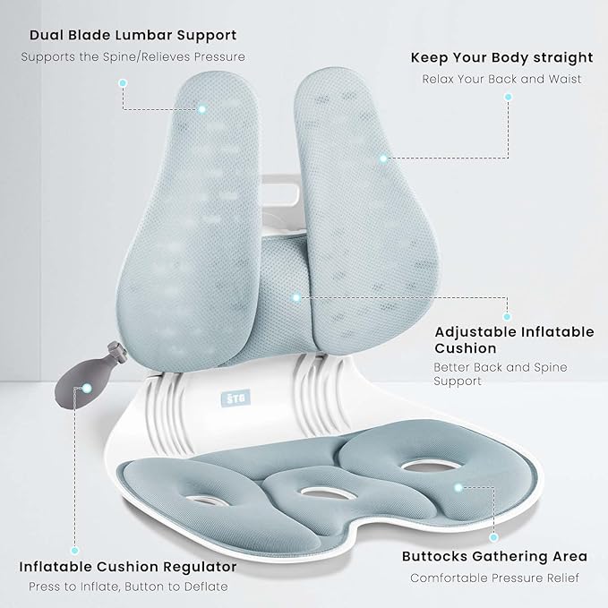 ZZWS Foldable Ergonomic Back and Lumbar Support with Adjustable Inflatable Lumbar Cushion for Good Posture Correction and Back Pain Relief, Perfect for Office, Floor Seat and Work from Home
