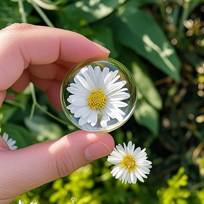 6Pack 1.6inch Crystal Dome Magnifying Paperweight, Clear Distortion-Free Optics Convex Lens Set for Physics Classroom Home Decor, Paper Weights for Outdoor Events
