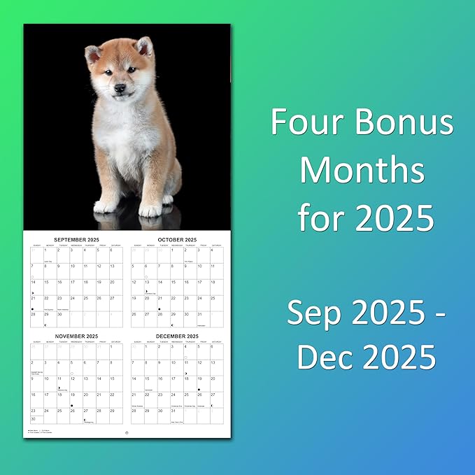 2026 Shiba Inus Monthly Wall Calendar | Cute Dogs 2026 Wall Calendar 2025-2026