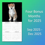 2026 Shiba Inus Monthly Wall Calendar | Cute Dogs 2026 Wall Calendar 2025-2026