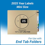2025 MINI Year Labels, Doctor Stuff 2025 Chart Stickers, Black Color Coded, Ames Small Style, USA Made Year Stickers for End Tab File Folders, 500/Roll, 1 Roll, 1/2" x 1-1/2"