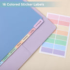 SKYDUE Durable Plastic 8-Tab Dividers, Big Tab Dividers for 3 Ring Binder, Write & Erase 3 Ring Binder Dividers with Tabs, with Sticker Labels, 1 Set, Pastel Color