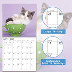 2026 Wall Calendar,Calendar 2026, November 2025 - December 2026, Wall Calendar Baby Kitten, 12" x 24" Opened,Full Page Months Thick & Sturdy Paper for Calendar Organizing & Planning