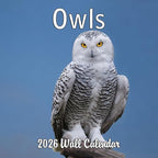 2026 Owls Monthly Wall Calendar | Animals Calendar 2025-2026