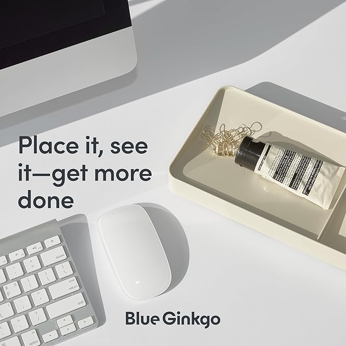 BLUE GINKGO Desk Tray – Korean-Made Organizer for Notes, Pens, Pencils, and Accessories (Double-sided, Beige)