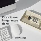 BLUE GINKGO Desk Tray – Korean-Made Organizer for Notes, Pens, Pencils, and Accessories (Double-sided, Beige)
