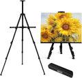 AROIC 17-66 Inch Art Easel Stand, Sturdy Aluminum Tripod for Table Top & Floor Painting - Portable Adjustable Display Easel for Canvases with 1 Storage Bag | Studio, Hobby & Professional Artist Easels