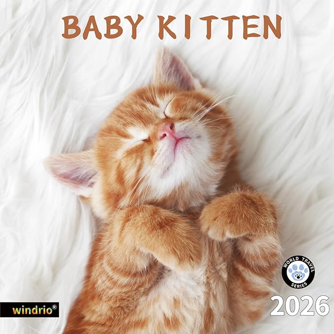 2026 Wall Calendar,Calendar 2026, November 2025 - December 2026, Wall Calendar Baby Kitten, 12" x 24" Opened,Full Page Months Thick & Sturdy Paper for Calendar Organizing & Planning
