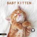 2026 Wall Calendar,Calendar 2026, November 2025 - December 2026, Wall Calendar Baby Kitten, 12" x 24" Opened,Full Page Months Thick & Sturdy Paper for Calendar Organizing & Planning