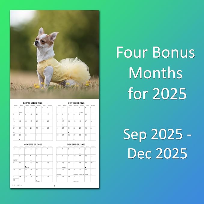 2026 Chihuahuas Monthly Wall Calendar | Cute Dogs Calendar September 2025 - December 2026