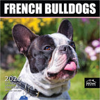 MICASA PRESS French Bulldogs 2026 Wall Calendar 12 Month | 12" x 24" Open | Thick & Sturdy Paper | Holiday Gift | Cute Frenchie Puppy Dog Calendar 2026