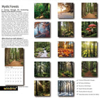 2026 Wall Calendar,Calendar 2026, November 2025 - December 2026, Wall Calendar Mystic Forests, 12" x 24" Opened,Full Page Months Thick & Sturdy Paper for Gift Perfect Calendar Organizing & Planning