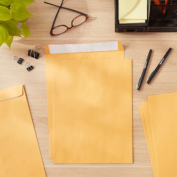 Amazon Basics Catalog Mailing Envelopes, Peel and Seal, 10x13 Inch, Brown Kraft, 100-Pack