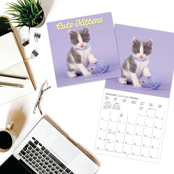 Graphique 2026 Cute Kittens Wall Calendar | 12” x 12” | Thick Paper | Home & Office Organizer | Large Monthly Grid | 3 Languages & Marked Holidays | 4 Month Preview Page for 2027