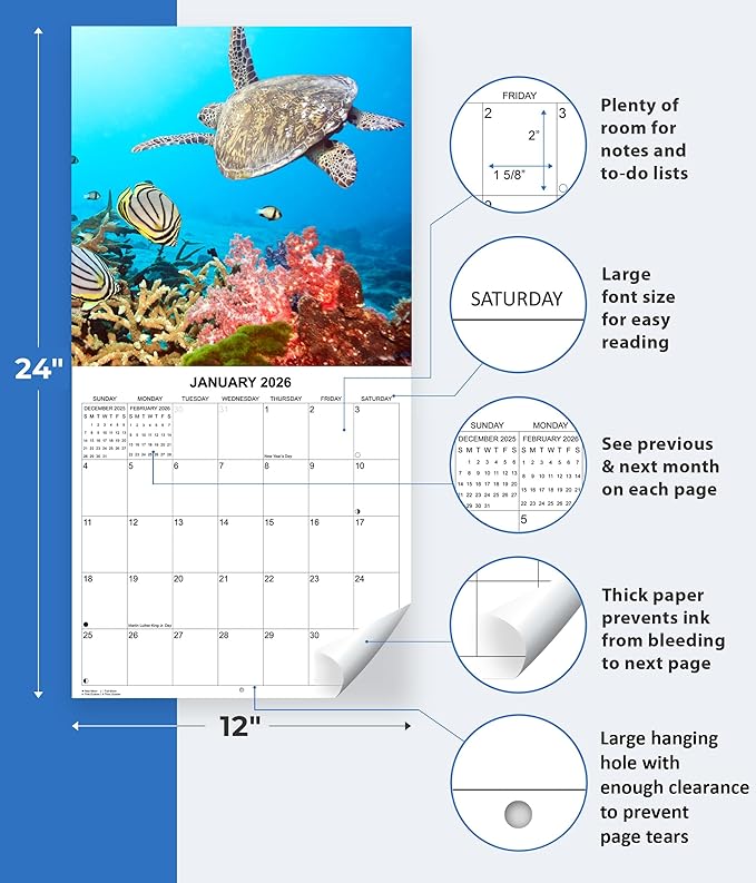 2026 Sea Turtles Monthly Wall Calendar | Cute Animals Sea Creatures Calendar 2025-2026