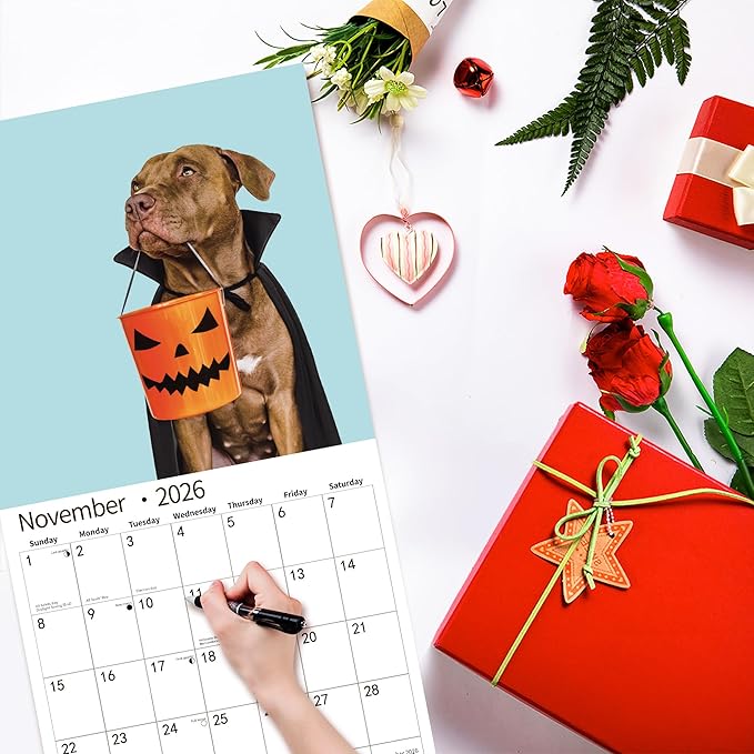 2026 Wall Calendar,Funny Calendar 2026, November 2025 - December 2026, Wall Calendar Funny Animal Memes, 12" x 24" Opened, Full Page 14 Months Thick Paper for Gift Calendar Organizing Planning