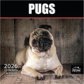 MICASA PRESS Pugs 2026 Wall Calendar 12 Month | 12" x 24" Open | Thick & Sturdy Paper | Holiday Gift | Cute Puppy Dog Calendar 2026