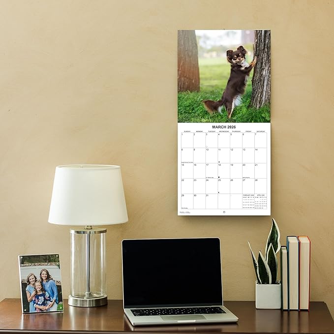 2026 Chihuahuas Monthly Wall Calendar | Cute Dogs Calendar September 2025 - December 2026