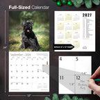 MICASA PRESS Miniature Schnauzers 2026 Wall Calendar 12 Month | 12" x 24" Open | Thick & Sturdy Paper | Holiday Gift | Cute Puppy Dog Calendar 2026