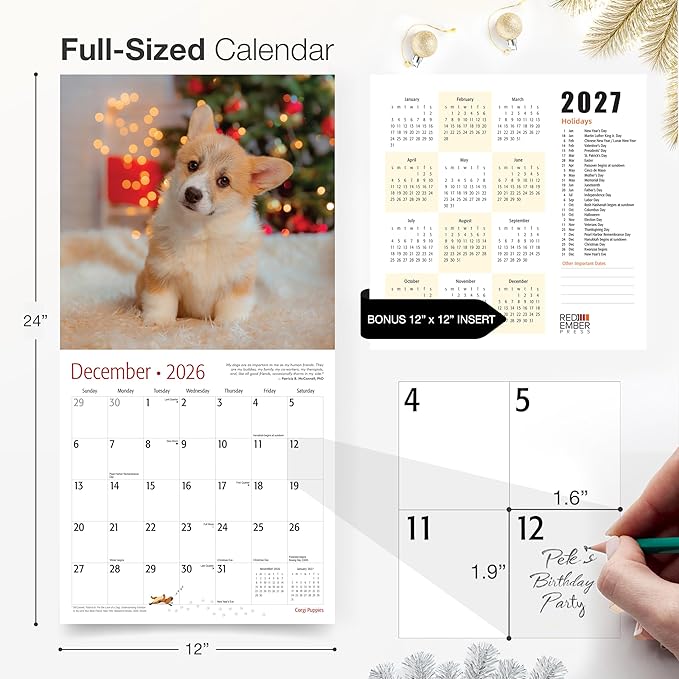 RED EMBER Corgi Puppies 2026 Wall Calendar 12 Month | 12" x 24" Open | Thick & Sturdy Paper | Holiday Gift | Cute Puppy Dog Calendar 2026
