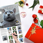 2026 Wall Calendar,Funny Calendar 2026, November 2025 - December 2026, Wall Calendar Funny Animal Memes, 12" x 24" Opened, Full Page 12 Months Thick Paper for Gift Calendar Organizing Planning