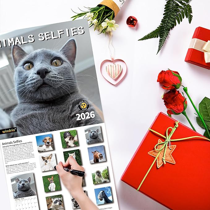 2026 Wall Calendar,Funny Calendar 2026, November 2025 - December 2026, Wall Calendar Funny Animal Memes, 12" x 24" Opened, Full Page 12 Months Thick Paper for Gift Calendar Organizing Planning