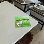 2026 Frogs Monthly Wall Calendar | Animals Calendar 2025-2026