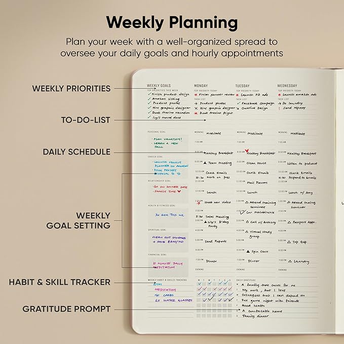 Hourly Planner & Appointment Book (8.5” x 11”) - Premium Hourly Planner with Daily Schedule & 30-Minute Time Slots for Better Time Management by PRODUCTIVITY STORE (A4, Pink)