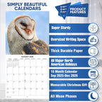 2026 Owls Monthly Wall Calendar | Animals Calendar 2025-2026