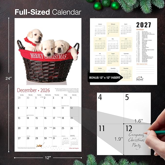 MICASA PRESS Yellow Lab Puppies 2026 Wall Calendar 12 Month | 12" x 24" Open | Thick & Sturdy Paper | Holiday Gift | Cute Labrador Retriever Puppy Dog Calendar 2026