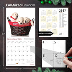 MICASA PRESS Yellow Lab Puppies 2026 Wall Calendar 12 Month | 12" x 24" Open | Thick & Sturdy Paper | Holiday Gift | Cute Labrador Retriever Puppy Dog Calendar 2026