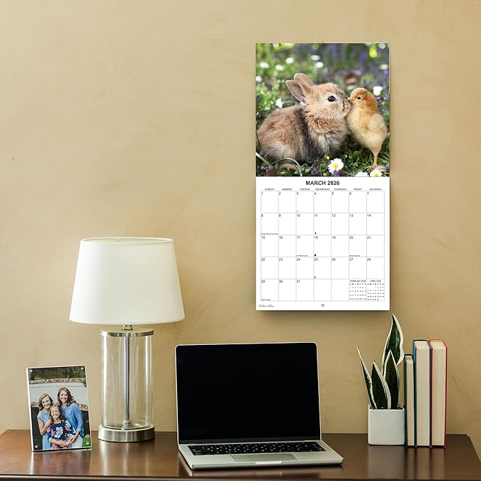 2026 Bunnies Monthly Wall Calendar | Cute Rabbit Animals Calendar 2025-2026