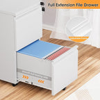 INTERGREAT 2 Drawer File Cabinet with Wheels, Metal Filling Cabinet with Lock, Locking Office Mobile Cabinet with Wheels for Legal/Letter Size, Under Desk, Easy Assemble, White