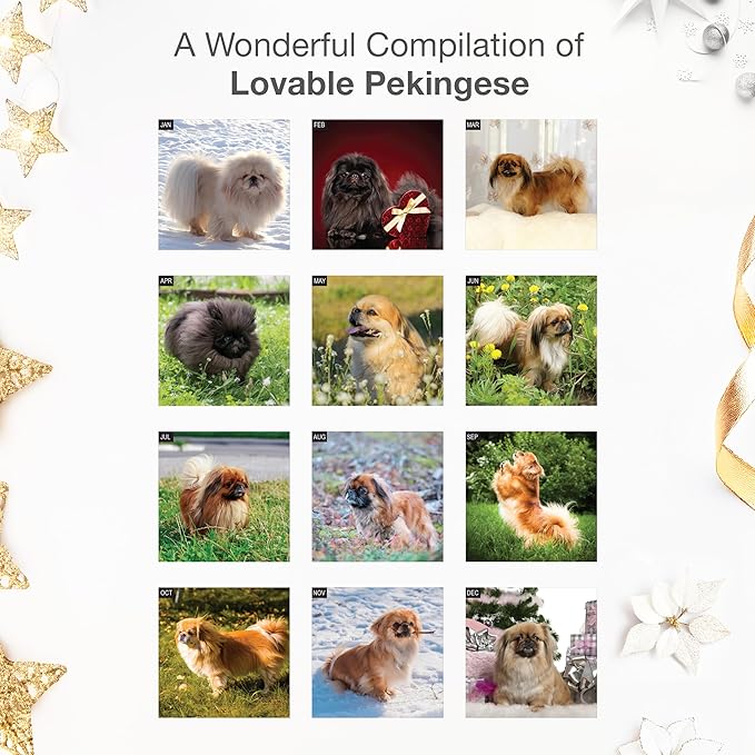 RED EMBER Pekingese 2026 Wall Calendar 12 Month | 12" x 24" Open | Thick & Sturdy Paper | Holiday Gift | Cute Puppy Dog Calendar 2026