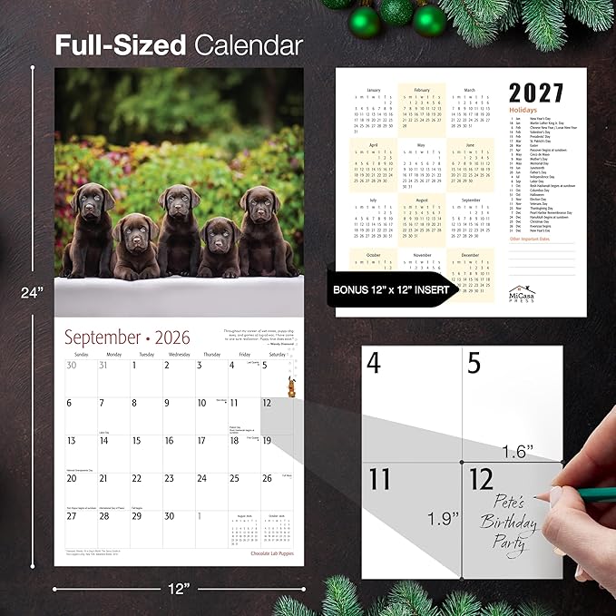 MICASA PRESS Chocolate Lab Puppies 2026 Wall Calendar 12 Month | 12" x 24" Open | Thick & Sturdy Paper | Holiday Gift | Cute Labrador Retriever Puppy Dog Calendar 2026