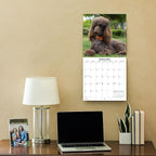 2026 Poodles Monthly Wall Calendar | Dog 2026 Wall Calendar 2025-2026