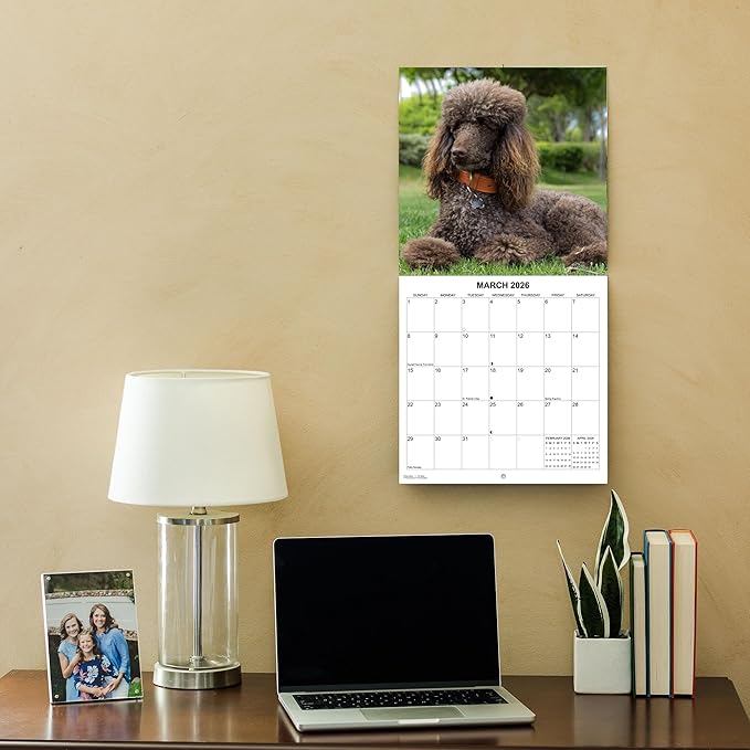 2026 Poodles Monthly Wall Calendar | Dog 2026 Wall Calendar 2025-2026