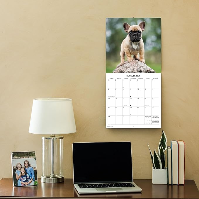2026 French Bulldogs Monthly Wall Calendar | Cute Dog Calendar 2025-2026