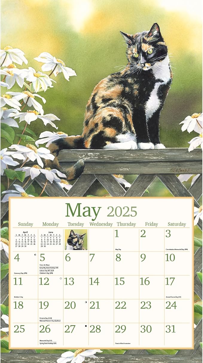 LANG Cats In The Country 2025 Wall Calendar (25991001899)