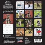 MICASA PRESS - Miniature Schnauzers 2025 Wall Calendar 12 Month | 12" x 24" Open | Thick & Sturdy Paper | Giftable | Calendar 2025