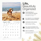 RED EMBER Beagles 2026 Wall Calendar 12 Month | 12" x 24" Open | Thick & Sturdy Paper | Holiday Gift | Cute Puppy Dog Calendar 2026