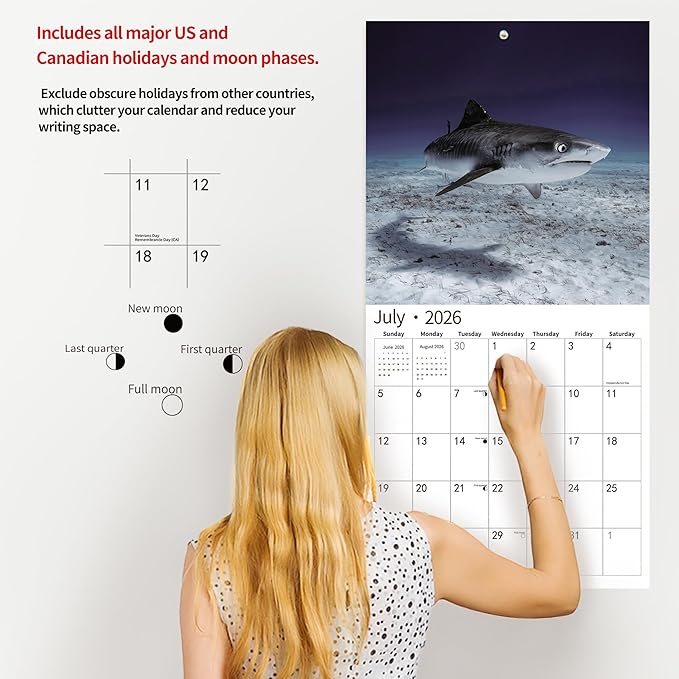 2026 Wall Calendar,Calendar 2026, November 2025 - December 2026, Wall Calendar Shark, 12" x 24" Opened,Full Page Months Thick & Sturdy Paper for Gift Perfect Calendar Organizing & Planning