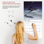2026 Wall Calendar,Calendar 2026, November 2025 - December 2026, Wall Calendar Shark, 12" x 24" Opened,Full Page Months Thick & Sturdy Paper for Gift Perfect Calendar Organizing & Planning